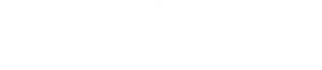 Retail Strategy & Planning Series
